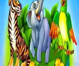 Animal Rehouse