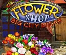 Flower Shop: Big City Break