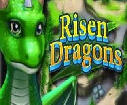Risen Dragons