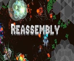 Reassembly