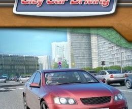 City Car Driving