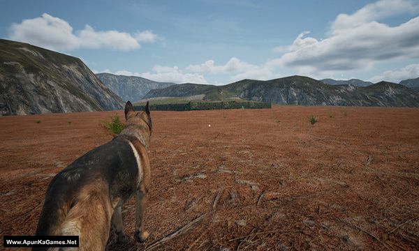Dog_Fox_Bunny Screenshot 1, Full Version, PC Game, Download Free