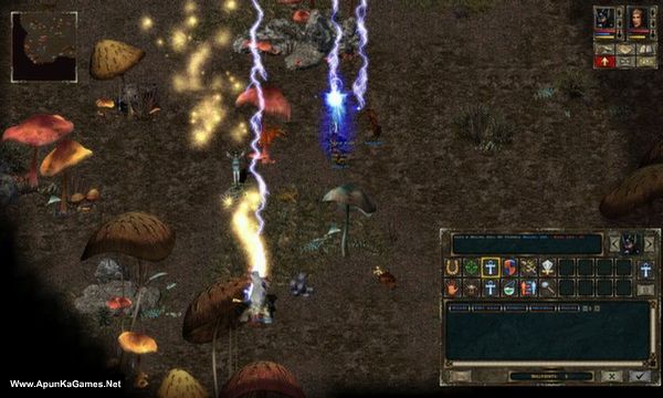 Beyond Divinity Screenshot 1, Full Version, PC Game, Download Free