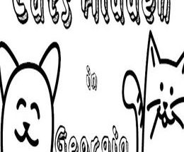 Cats Hidden in Georgia