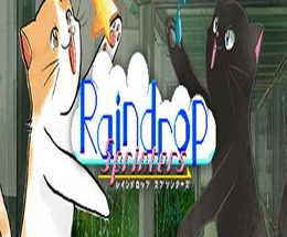 Raindrop Sprinters
