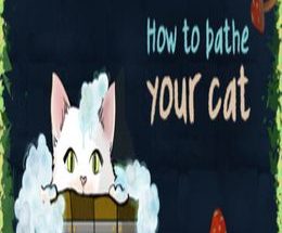 How To Bathe Your Cat
