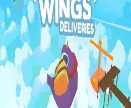 Little Wings Deliveries
