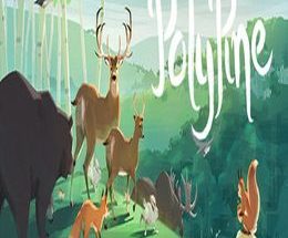 PolyPine