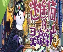 Stray of Lost Cat